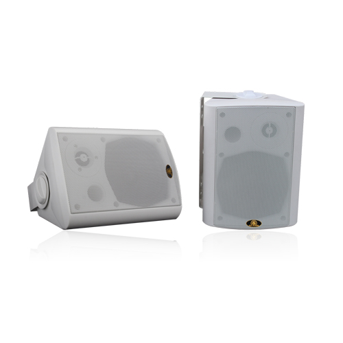 Enceinte IP RH5010