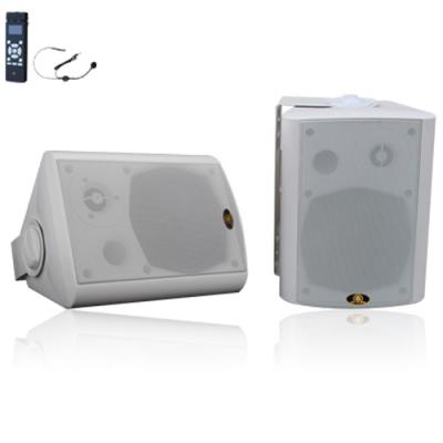 Haut-parleur sans fil 2.4G avec amplificateur intégré